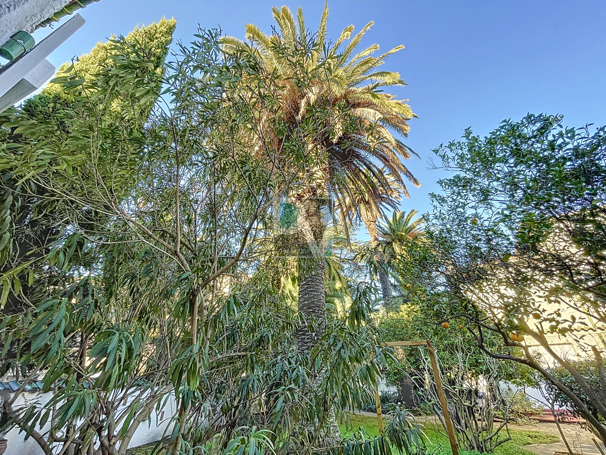 Photo bien immobilier